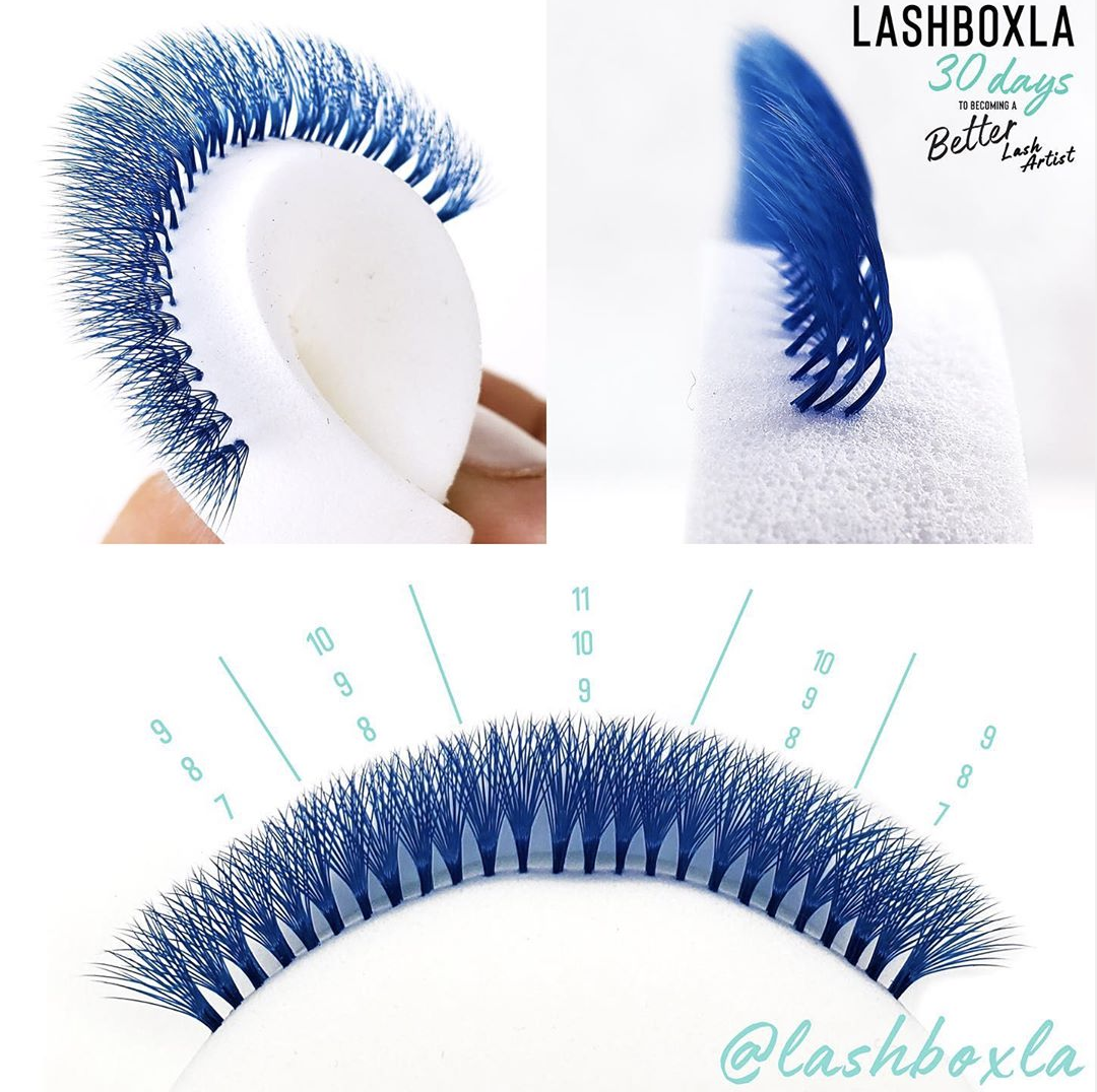 WEEK 4 - It's the final stretch, you got this! -LashBox LA Australia