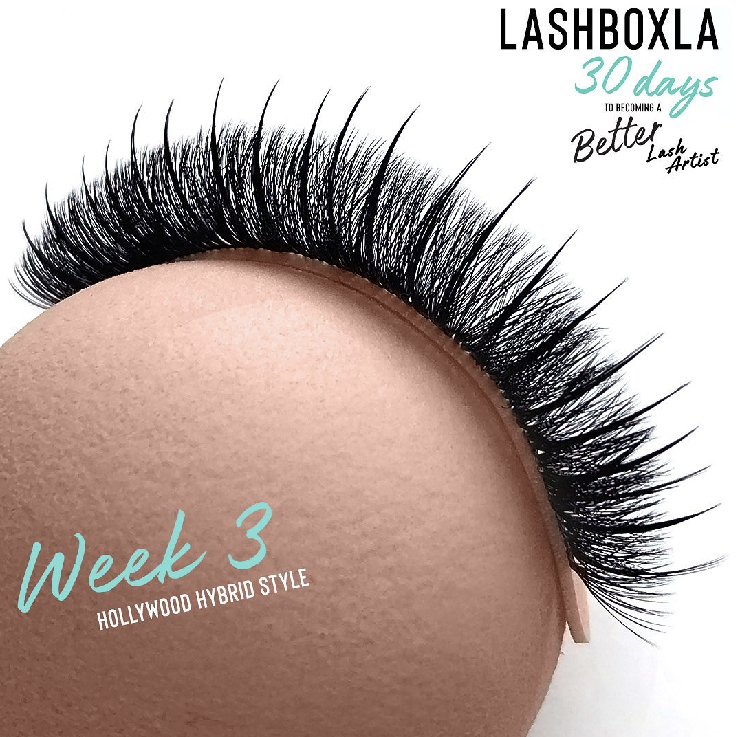 WEEK 3 - Hollywood Hybrid Style, 30day challenge-LashBox LA Australia