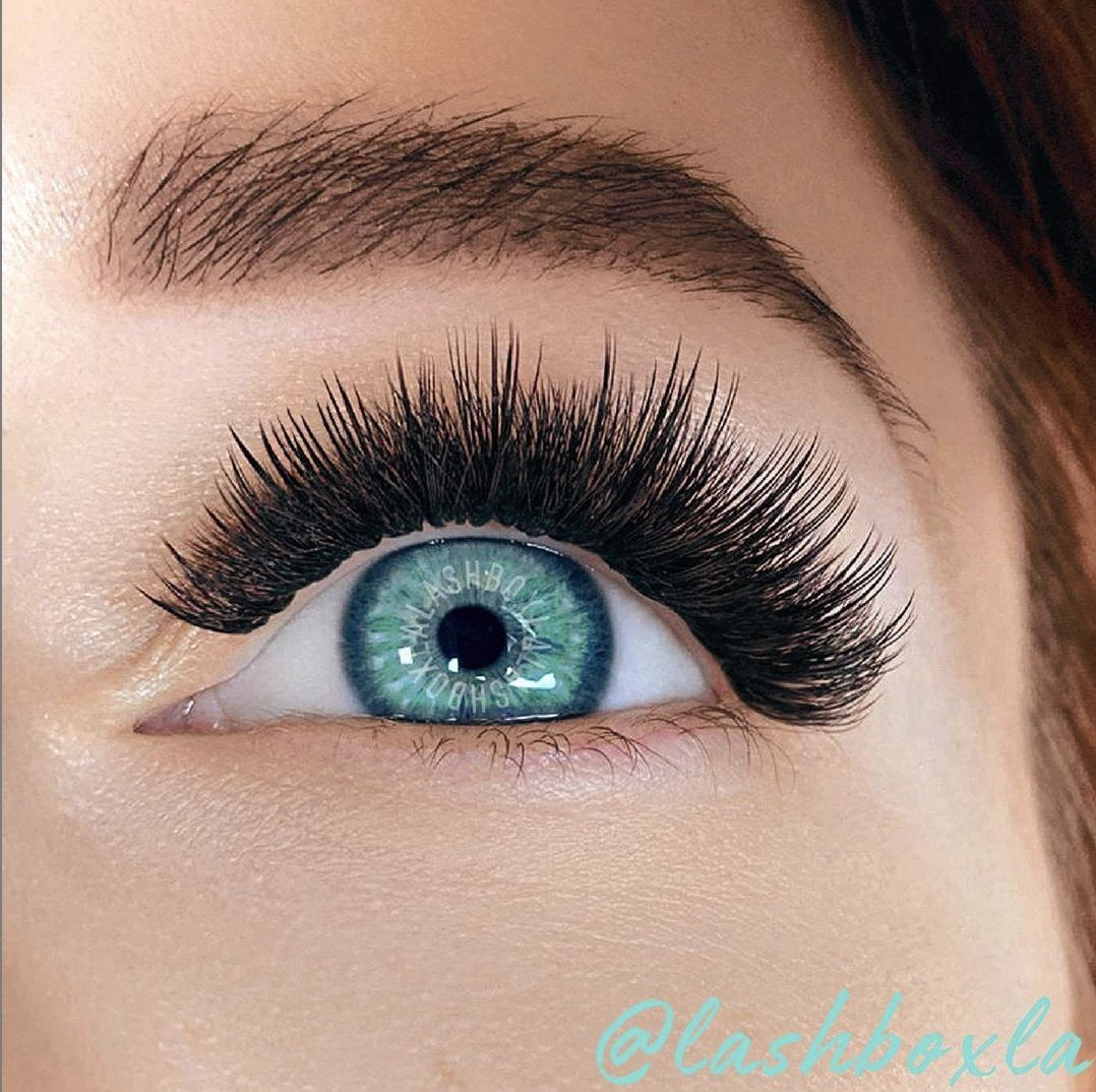 CAMELLIA LASHES-LashBox LA Australia