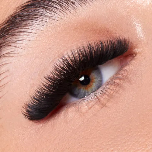 Cashmere 0.085 Volume lashes Lash Box LA Australia Luxury easy to fan lash supplier Sydney. 