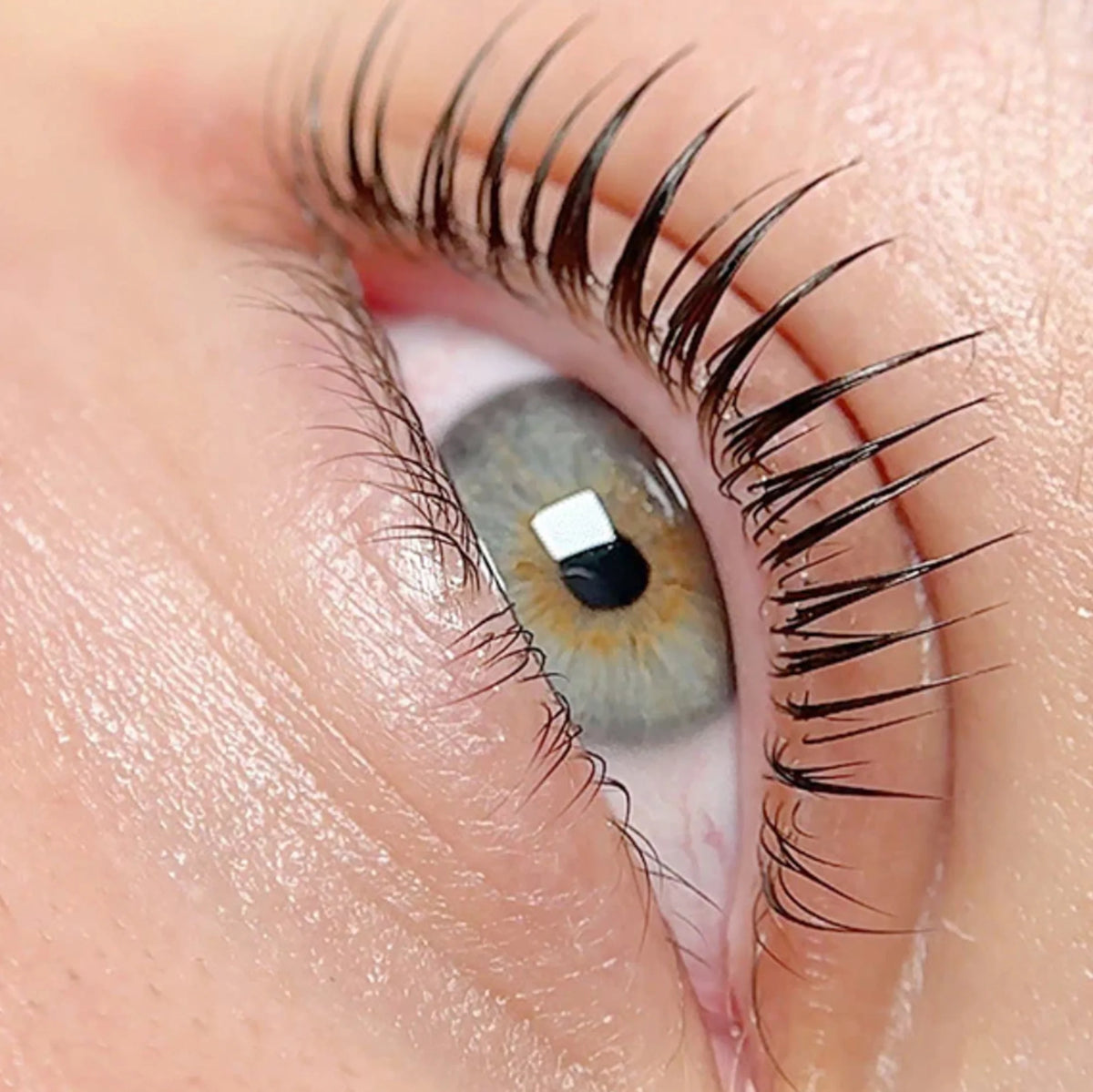 Miko Korean Lash Lift System Starter Kit