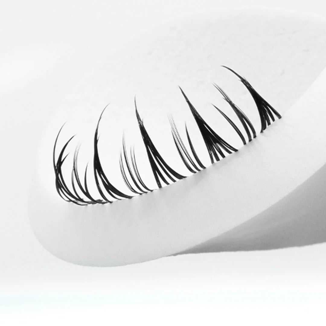 False eyelashes on a sponge white background

made with Wet & Wispy professional 5D bundles of false eyelashes lash box LA innovation in lashes, for perfect russian volume bundle no counting and for wet spikes easily made. 