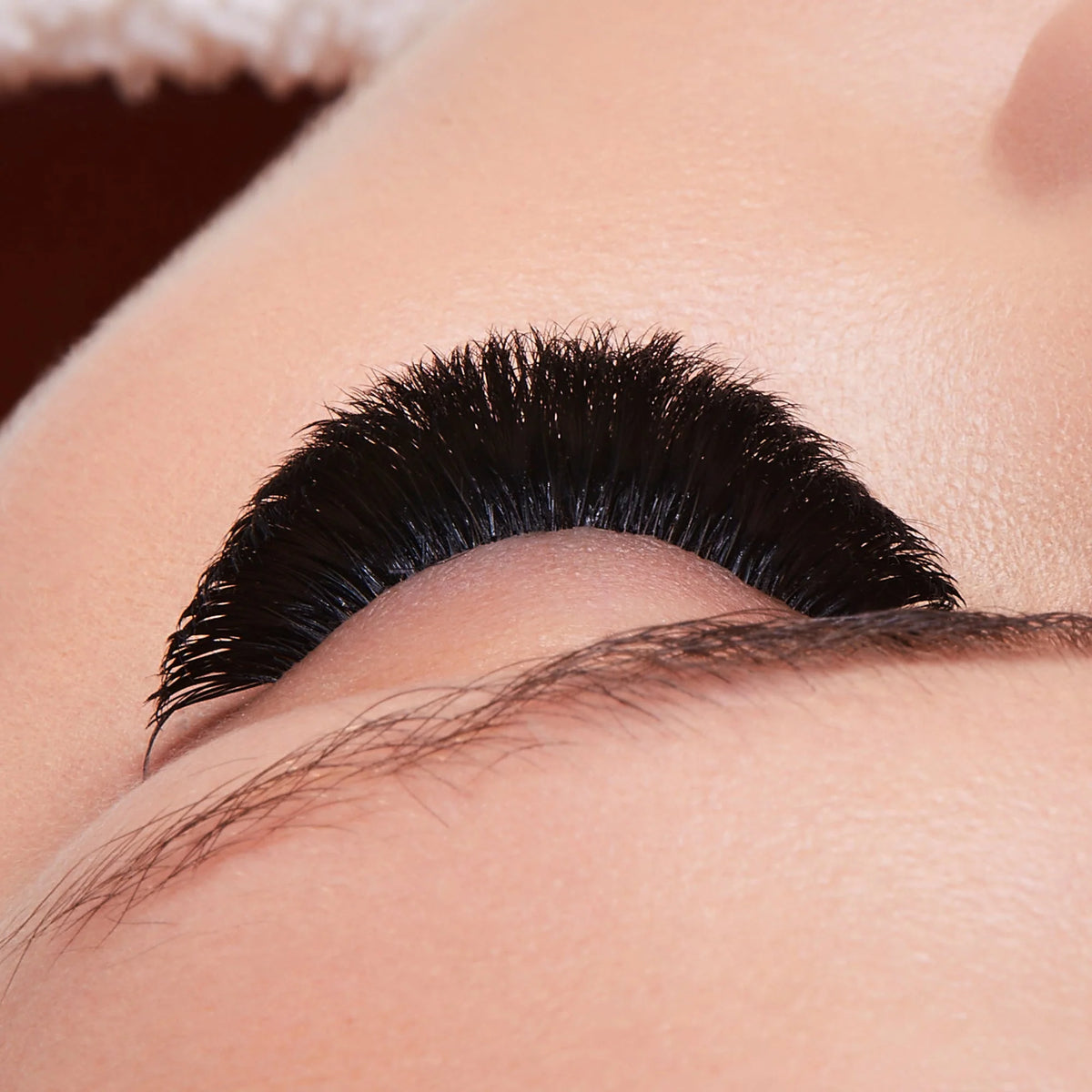 Close-up of a person's eye wearing a thick, curled black false eyelash extension mega volume styled well to fit clients natural features, lash box LA Australia education and training to lash smarter not harder and make your lash life easier using highest quality professional lash supplies.