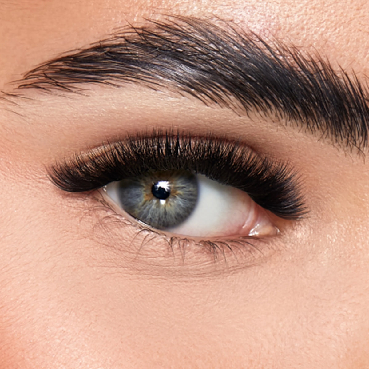 Close-up of a human eye with long, dark, curled false eyelashes LBLA hand crafted lashes, along with a defined eyebrow and light skin tone. Products to save you time lash smarter not harder lash box LA Australia 