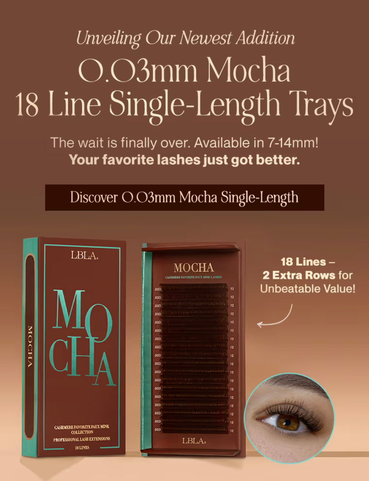 Lash Box LA Australia | Lash Supplier Australia | Mega Volume Lashes