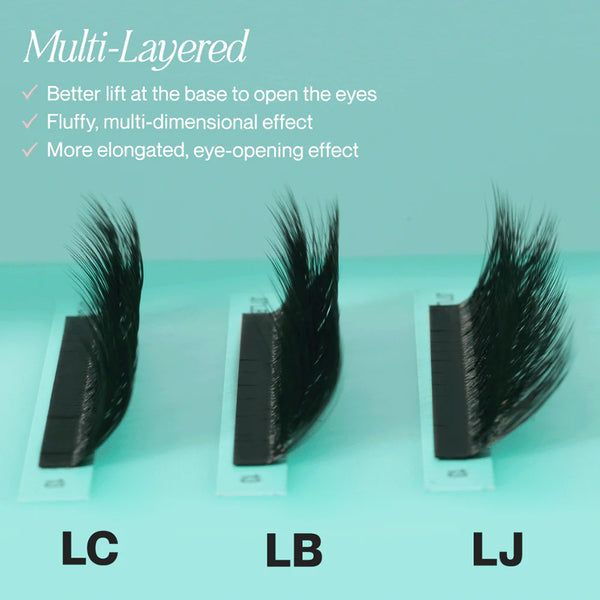 Multi-Layered Camellia 0.07mm Lashes - LashBox LA Australia