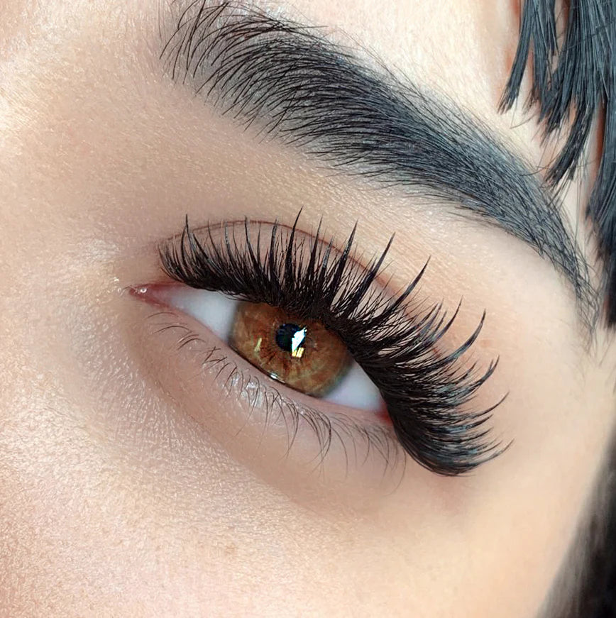 Close-up of an eye with long, dark  wet and wispy eyelashes and a well-groomed eyebrow. using Open teal box containing Wet & Wispy professional 5D bundles of false eyelashes lash box LA innovation in lashes, for perfect russian volume bundle no counting and for wet spikes easily made. 