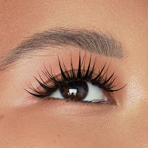 Multi-Layered Camellia 0.07mm Lashes