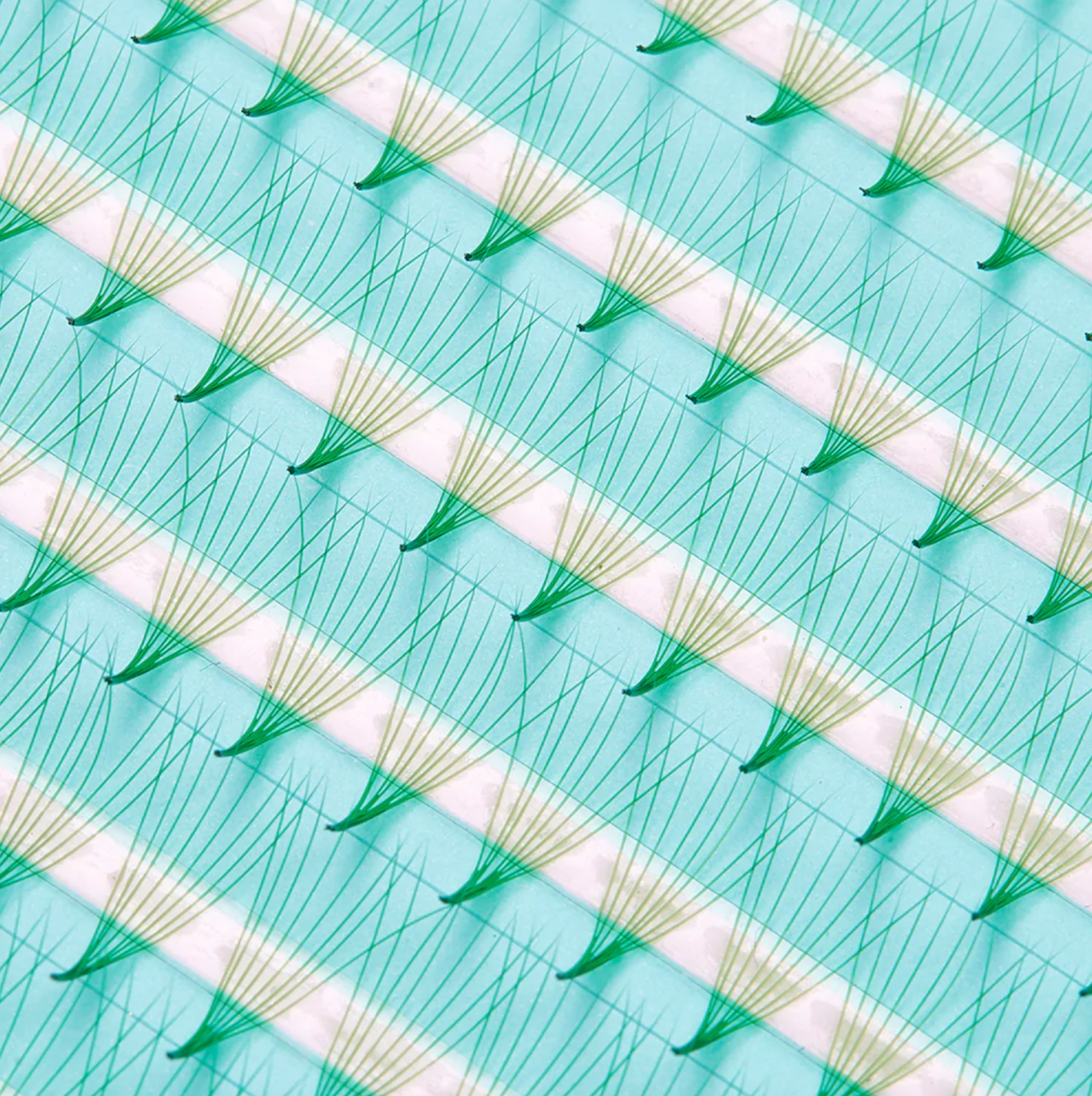 Super Fan 8D 0.05 - 200 Pre-Made Fans - Green Coloured Pre Made lash fans - Lash Box LA Australia