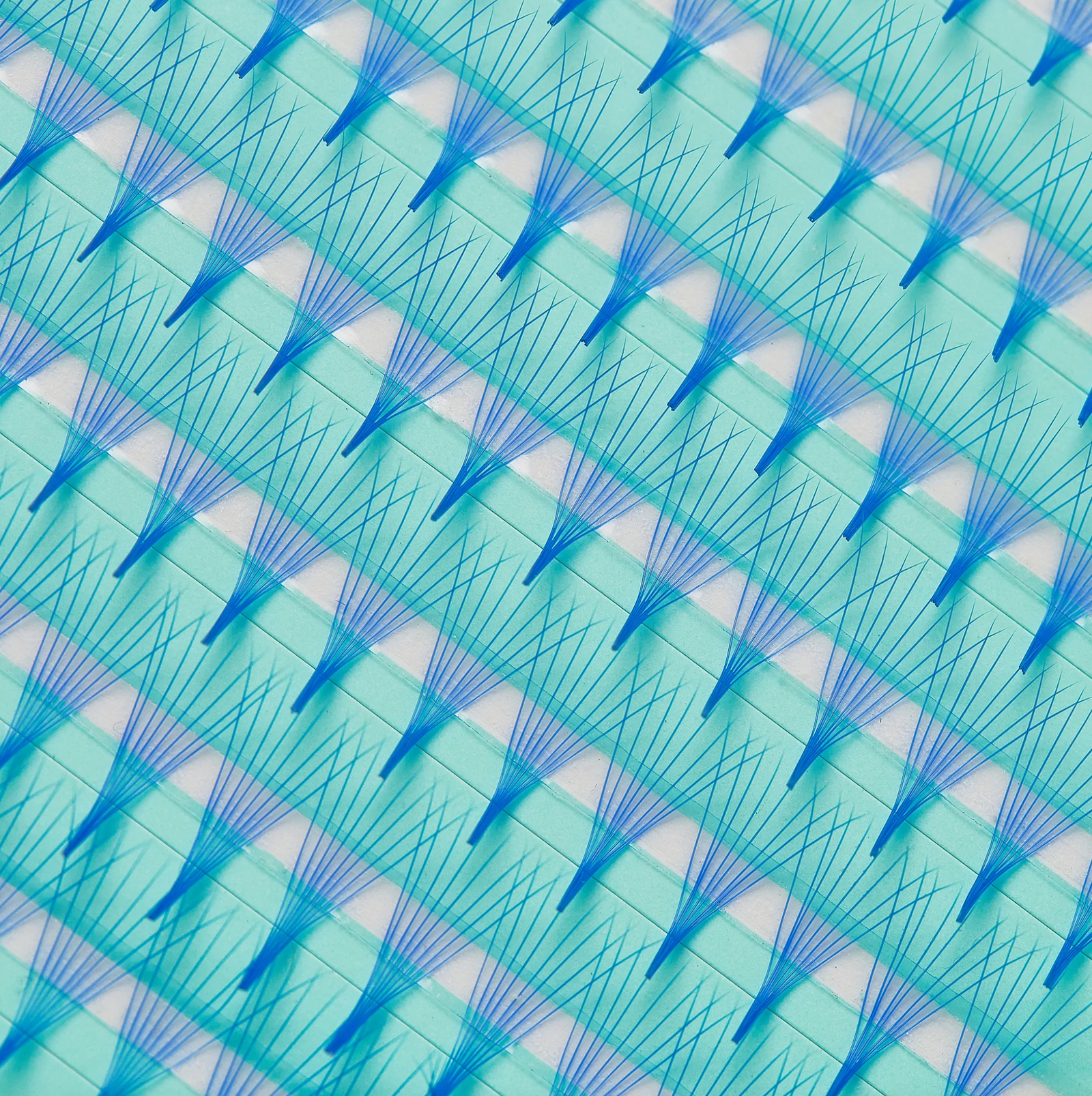 Super Fan 8D 0.05 - 200 Pre-Made Fans - Blue pre made Lash Fans Lash Box LA Australia Coloured pre made lash fans 